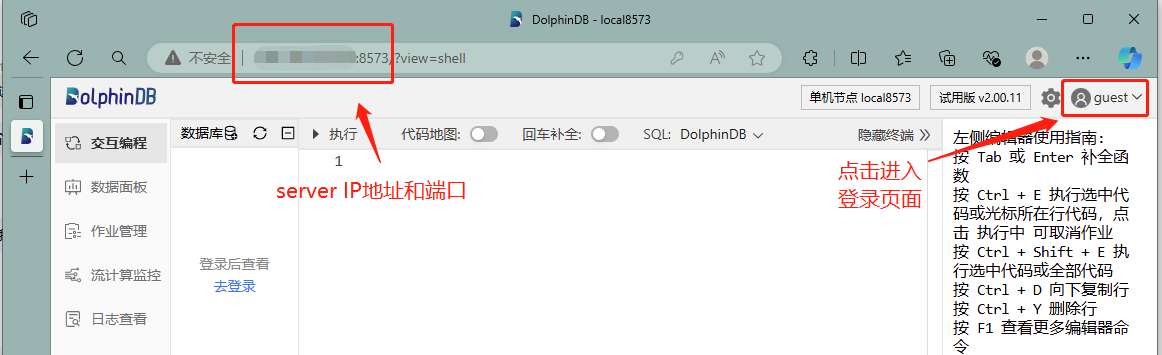 图 2-2 DolphinDB Web 管理页面示例